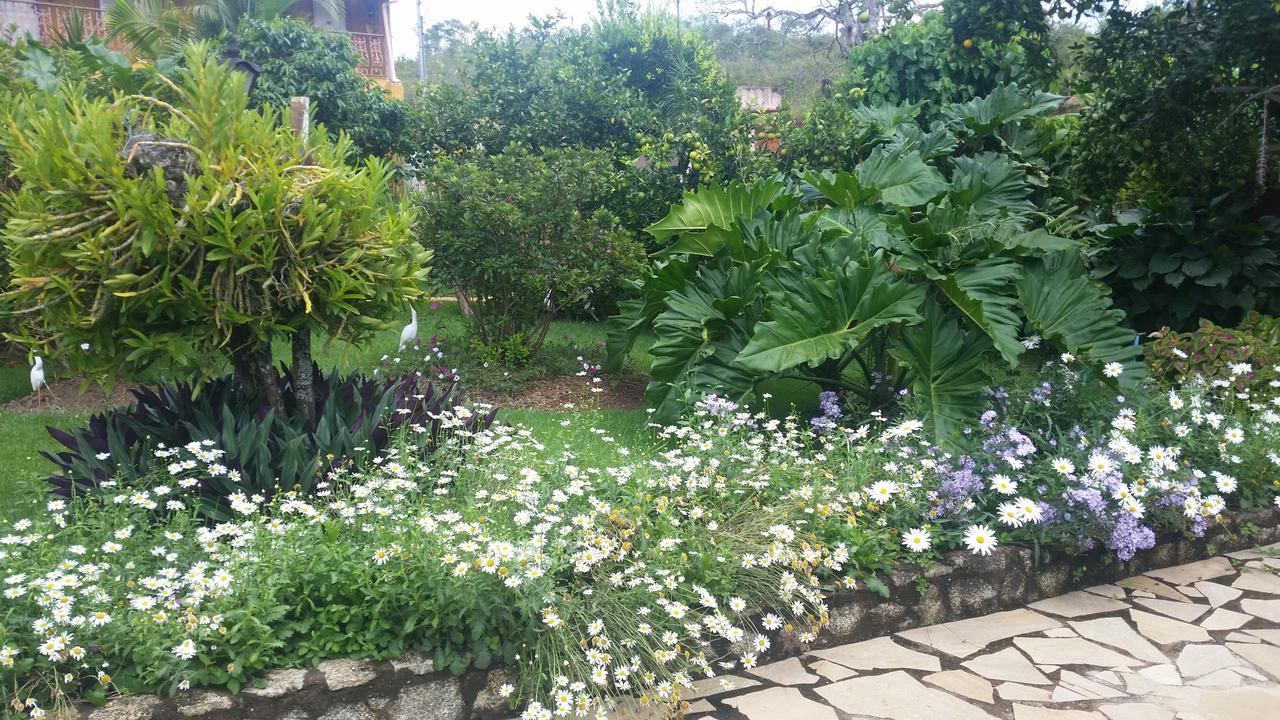 Pousada Meu Paraiso Bichinho Zewnętrze zdjęcie